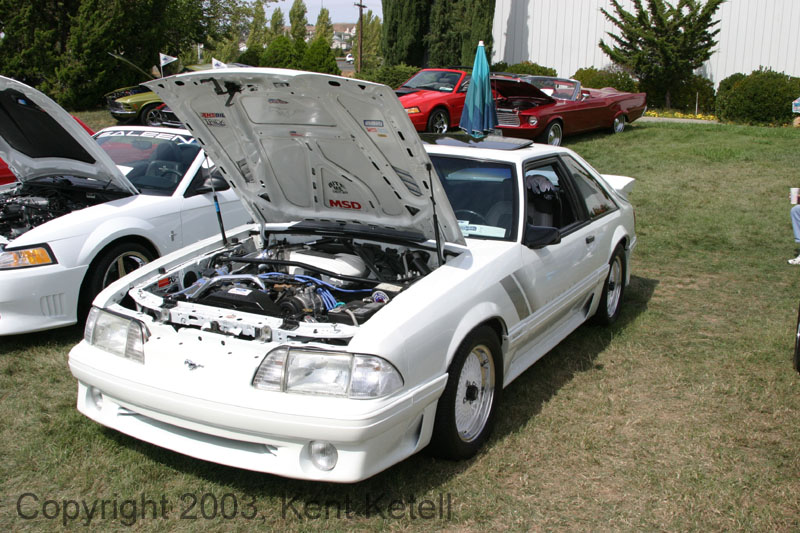 Mustang096