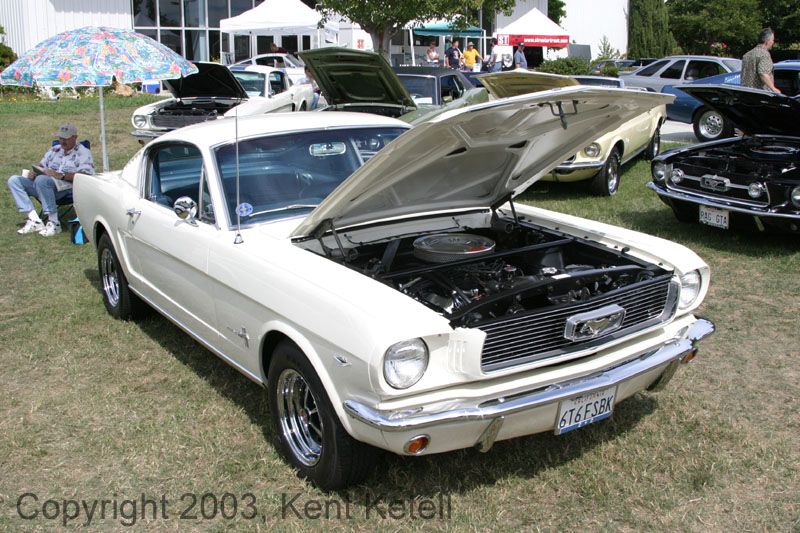 Mustang097