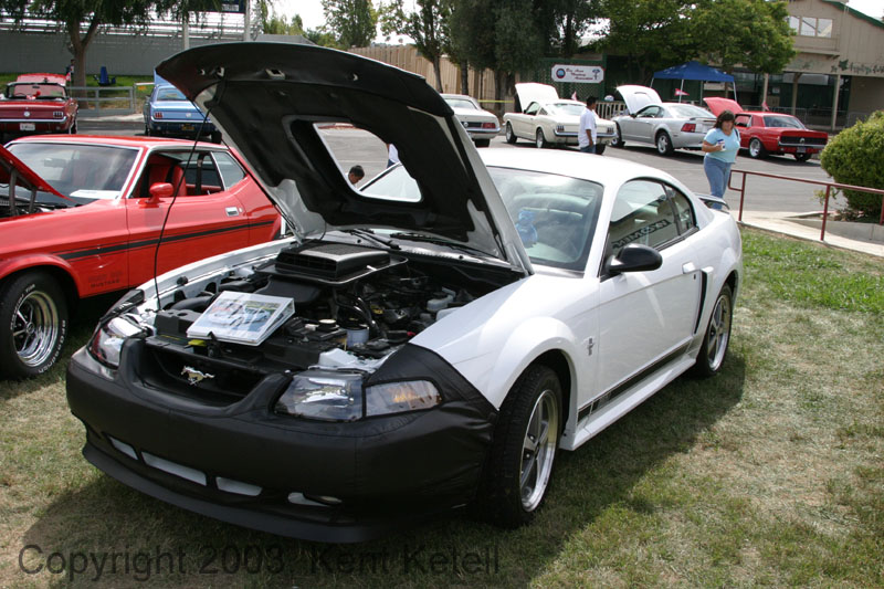 Mustang098