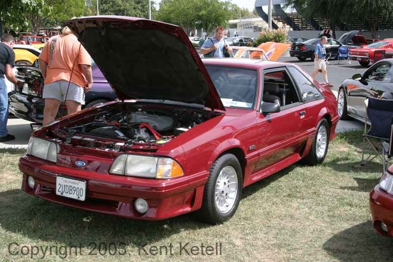 Mustang103
