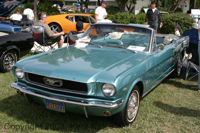 Mustang104
