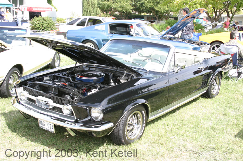Mustang105