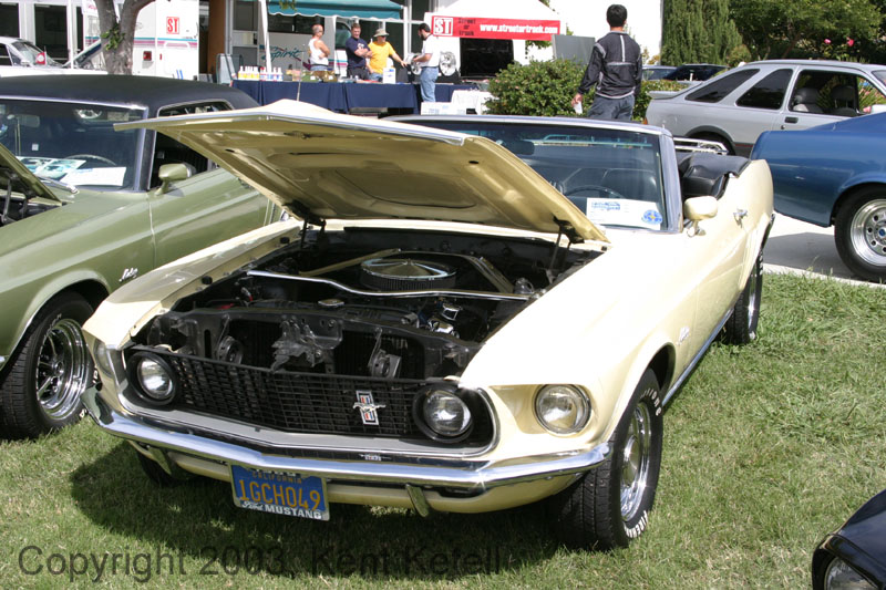 Mustang106