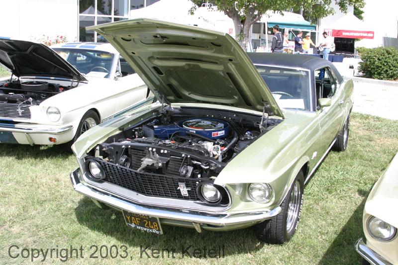 Mustang107