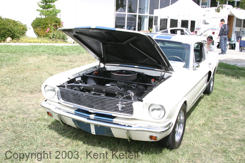 Mustang108
