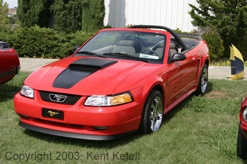 Mustang109