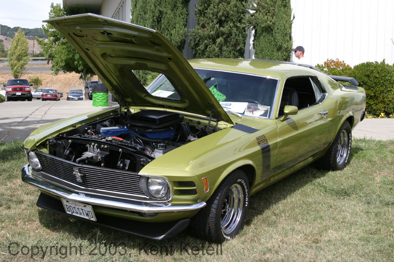 Mustang110