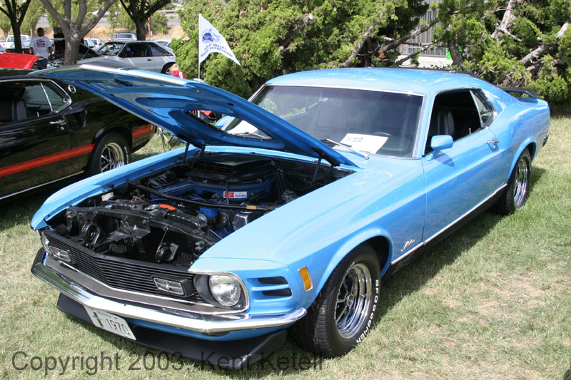 Mustang113
