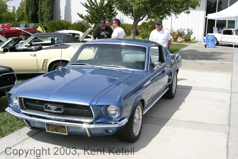 Mustang115
