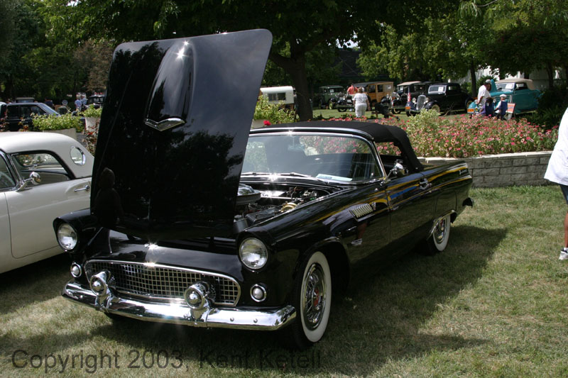 Thunderbird17