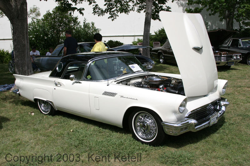 Thunderbird19