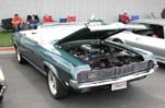 Cougar04