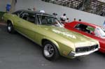 Cougar12
