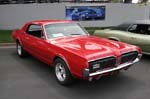 Cougar16