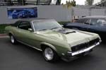 Cougar17