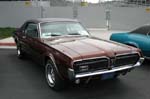 Cougar19