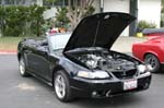 Mustang006