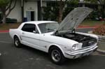 Mustang008