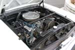 Mustang009