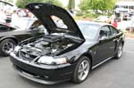 Mustang015