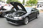 Mustang016