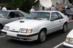 Mustang034