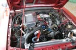 Mustang041