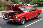 Mustang049