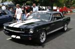 Mustang050