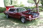 Mustang074