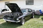 Mustang081