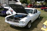 Mustang084