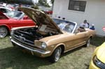 Mustang085