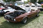 Mustang095