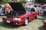 Mustang103