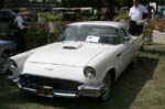 Thunderbird16