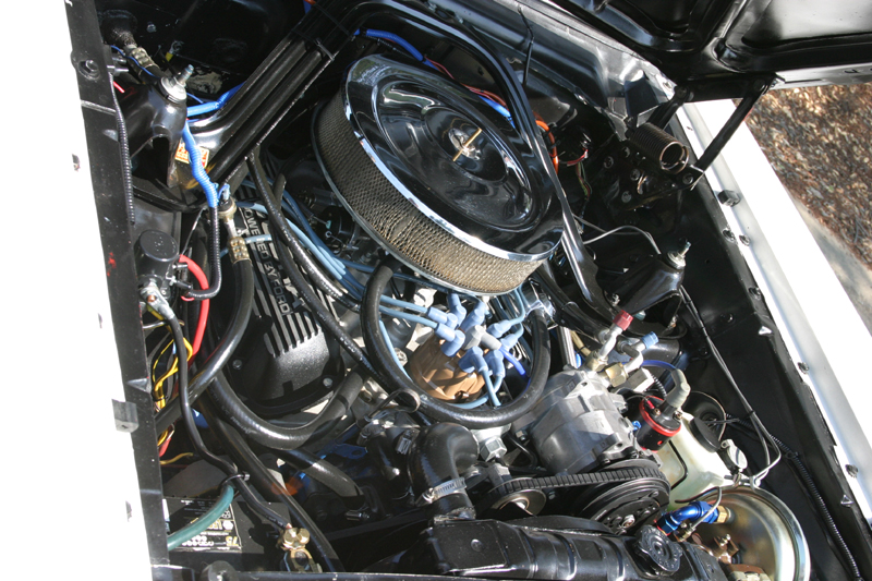 Ranchero4Sale-06