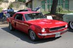 FlaredPony-1
