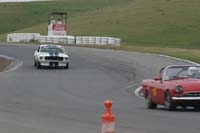 SunMorning-284