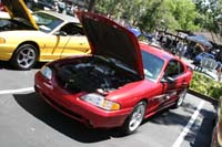IMG_5846