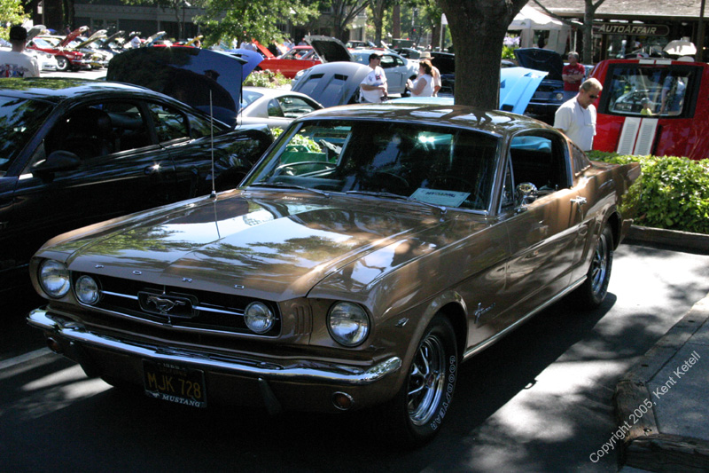 2005_Ponies&Snakes-026