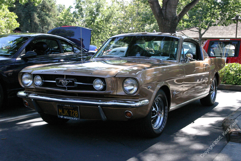 2005_Ponies&Snakes-028