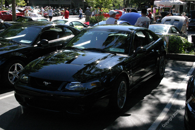 2005_Ponies&Snakes-031