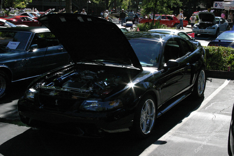 2005_Ponies&Snakes-033