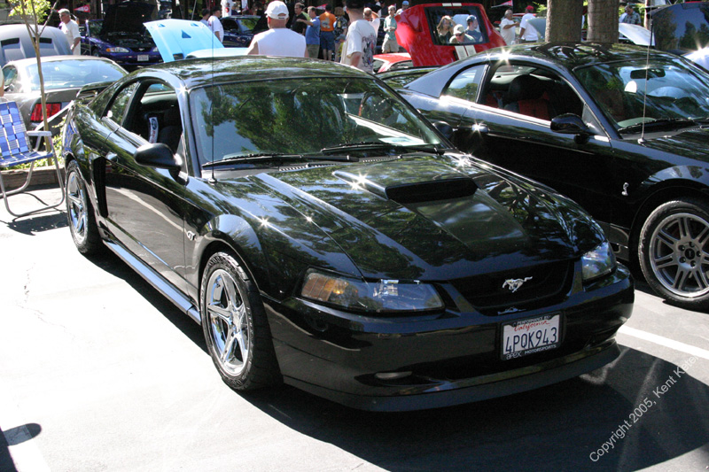 2005_Ponies&Snakes-034