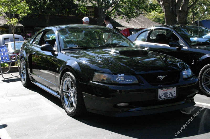 2005_Ponies&Snakes-035