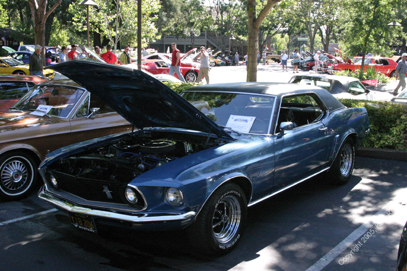 2005_Ponies&Snakes-036