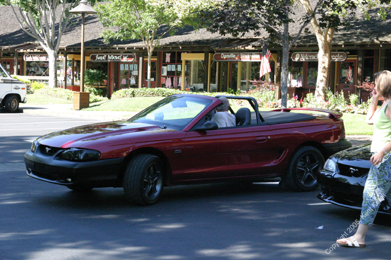 2005_Ponies&Snakes-037