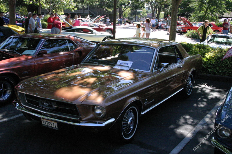 2005_Ponies&Snakes-038