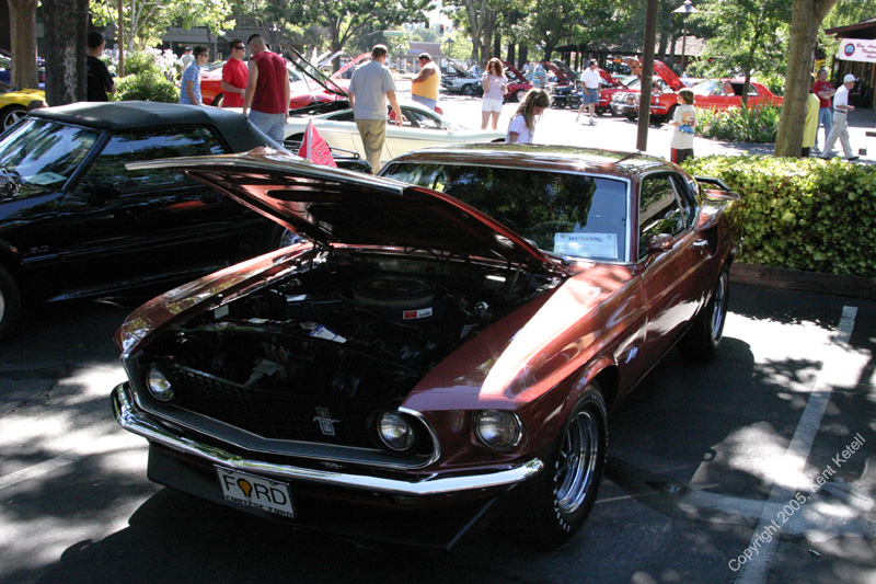 2005_Ponies&Snakes-040
